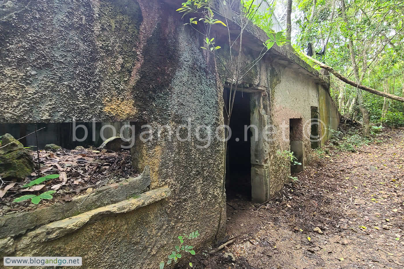 Mount Davis Battery - Original Camouflage?